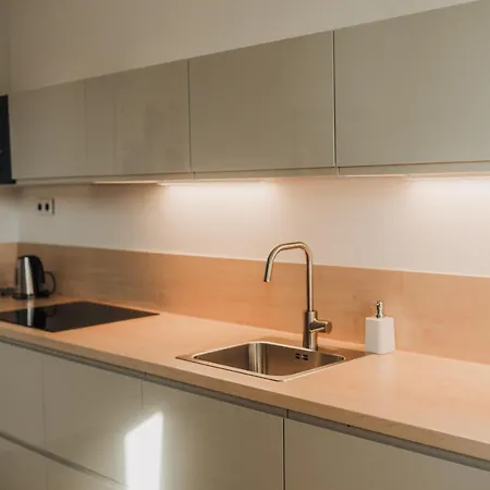 New Equipped In The City Center Apartment Plzen
